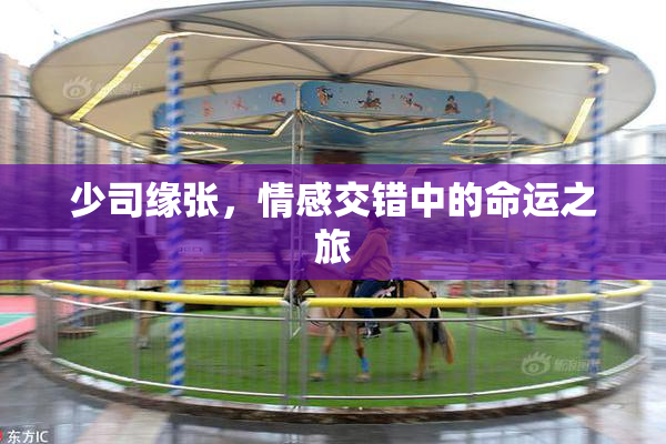 少司缘张，情感交错中的命运之旅