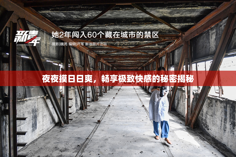 夜夜摸日日爽，畅享极致快感的秘密揭秘