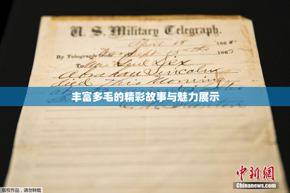 丰富多毛的精彩故事与魅力展示