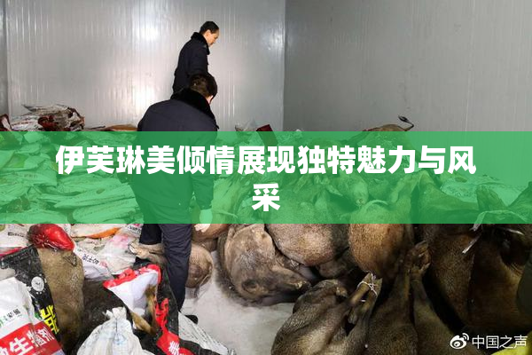 伊芙琳美倾情展现独特魅力与风采