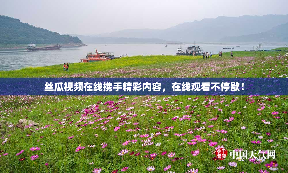 丝瓜视频在线携手精彩内容，在线观看不停歇！