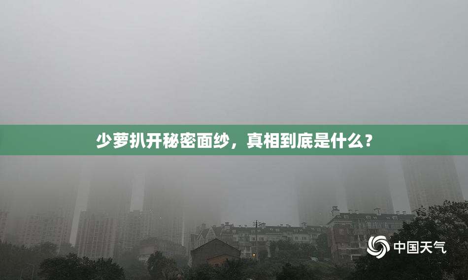 少萝扒开秘密面纱，真相到底是什么？