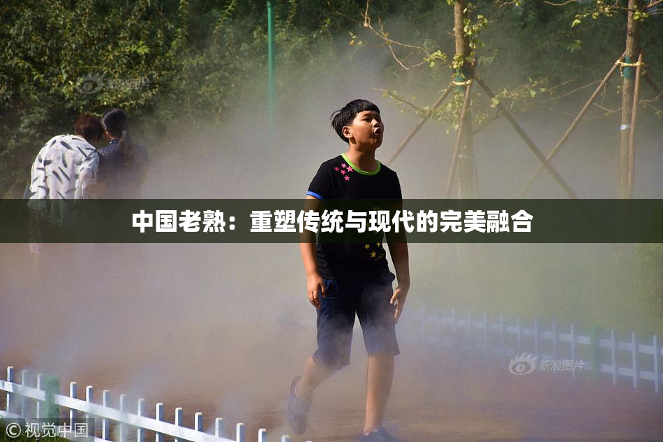 中国老熟：重塑传统与现代的完美融合