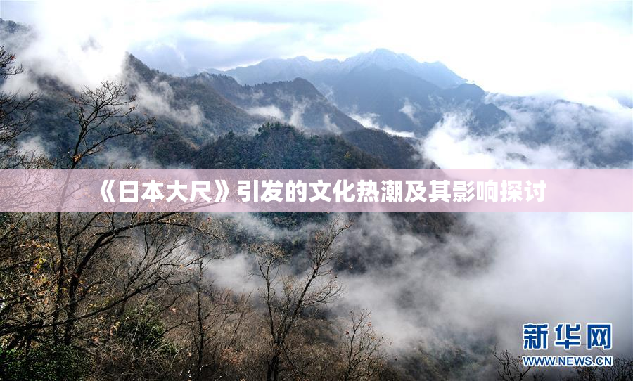 《日本大尺》引发的文化热潮及其影响探讨