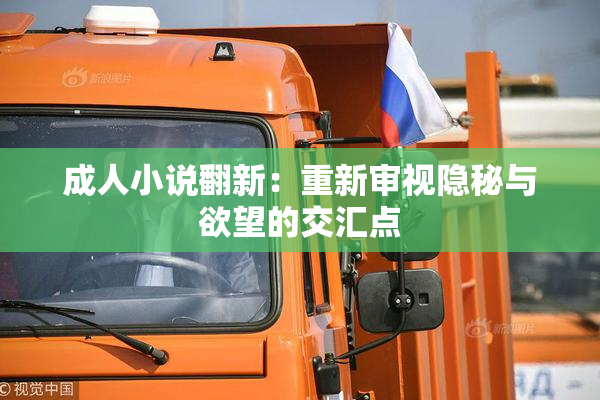 成人小说翻新：重新审视隐秘与欲望的交汇点