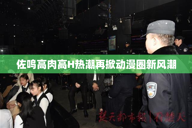 佐鸣高肉高H热潮再掀动漫圈新风潮