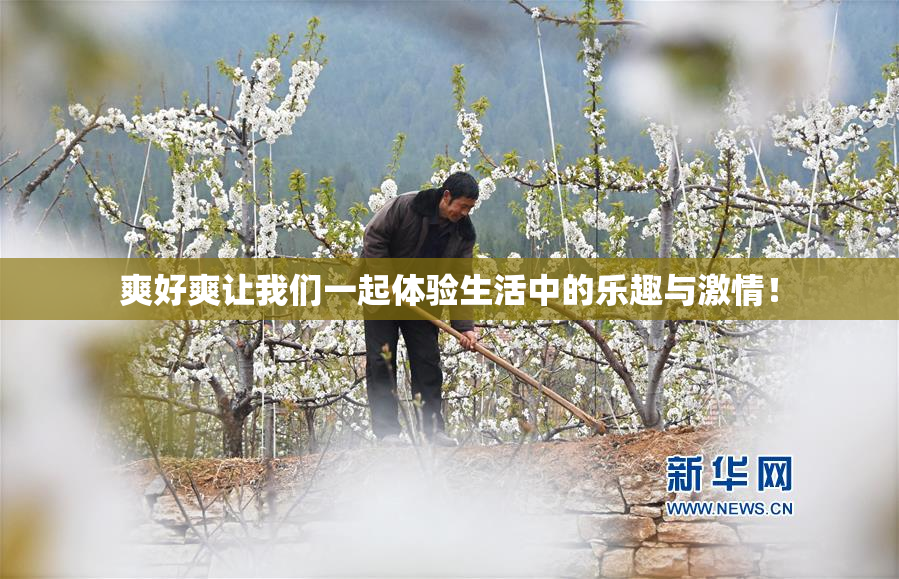 爽好爽让我们一起体验生活中的乐趣与激情！