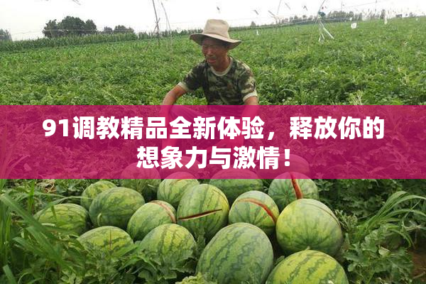 91调教精品全新体验，释放你的想象力与激情！