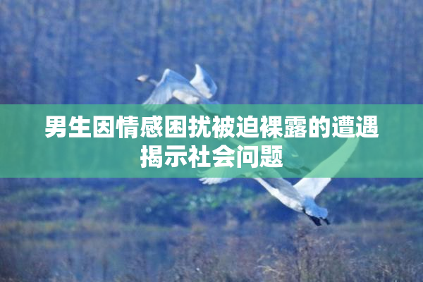 男生因情感困扰被迫裸露的遭遇揭示社会问题