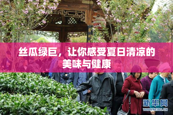 丝瓜绿巨，让你感受夏日清凉的美味与健康