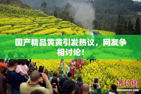 国产精品黄黄引发热议，网友争相讨论！