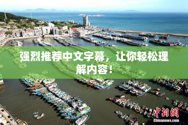 强烈推荐中文字幕，让你轻松理解内容！
