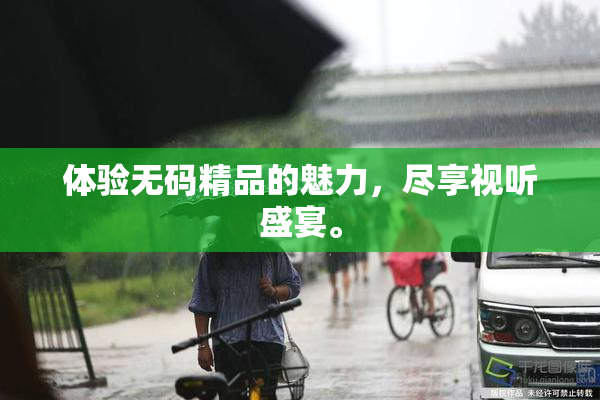 体验无码精品的魅力，尽享视听盛宴。