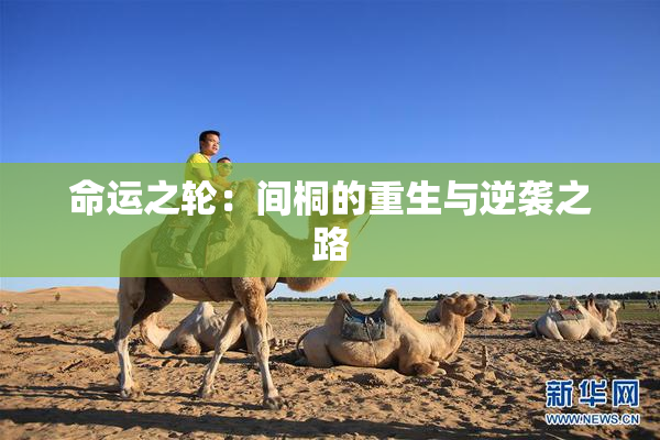 命运之轮：间桐的重生与逆袭之路