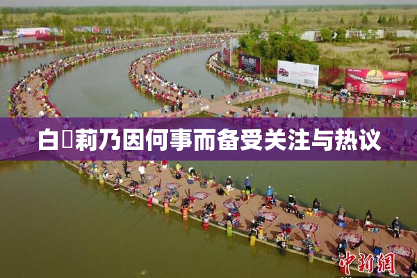 白咲莉乃因何事而备受关注与热议