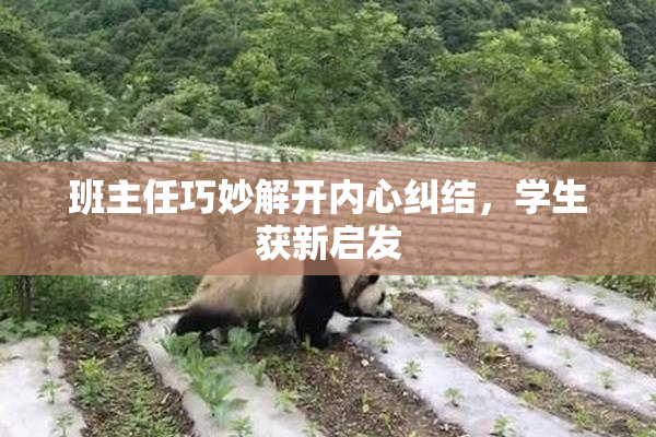 班主任巧妙解开内心纠结，学生获新启发