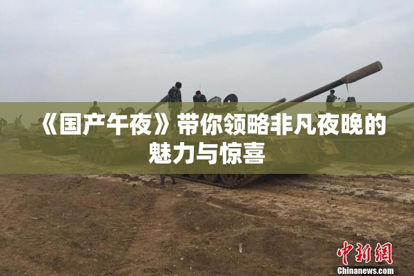 《国产午夜》带你领略非凡夜晚的魅力与惊喜