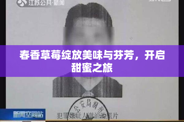 春香草莓绽放美味与芬芳，开启甜蜜之旅