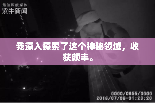 我深入探索了这个神秘领域，收获颇丰。