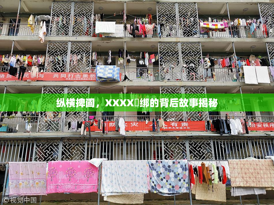 纵横捭阖，XXXX秵绑的背后故事揭秘