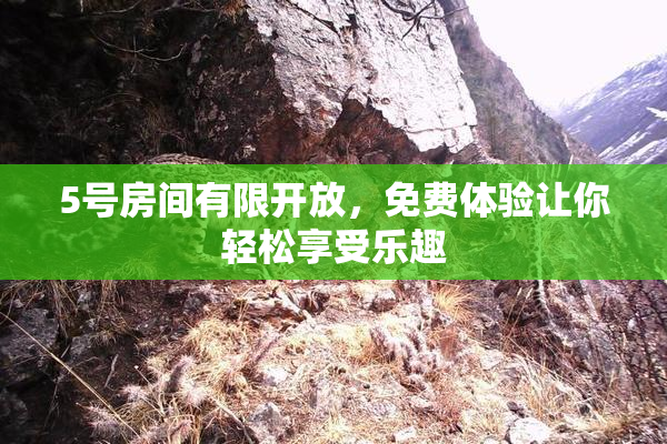 5号房间有限开放，免费体验让你轻松享受乐趣