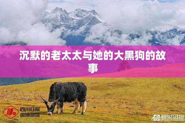 沉默的老太太与她的大黑狗的故事