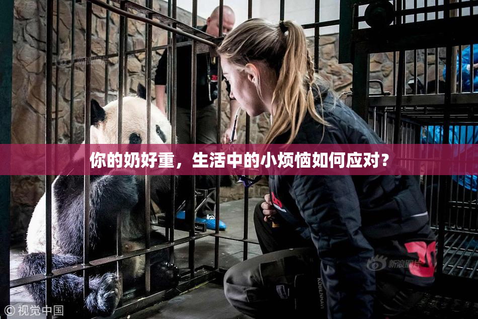 你的奶好重，生活中的小烦恼如何应对？