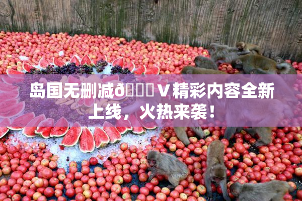 岛国无删减🈚Ⅴ精彩内容全新上线，火热来袭！