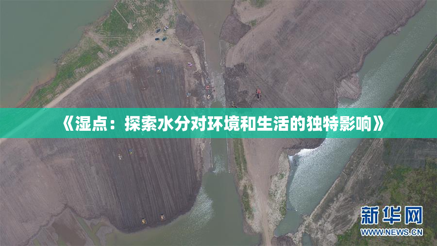 《湿点：探索水分对环境和生活的独特影响》