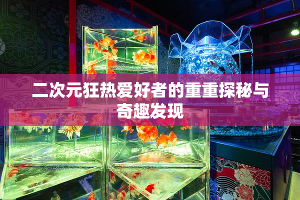二次元狂热爱好者的重重探秘与奇趣发现