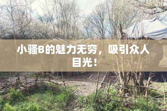 小骚B的魅力无穷，吸引众人目光！