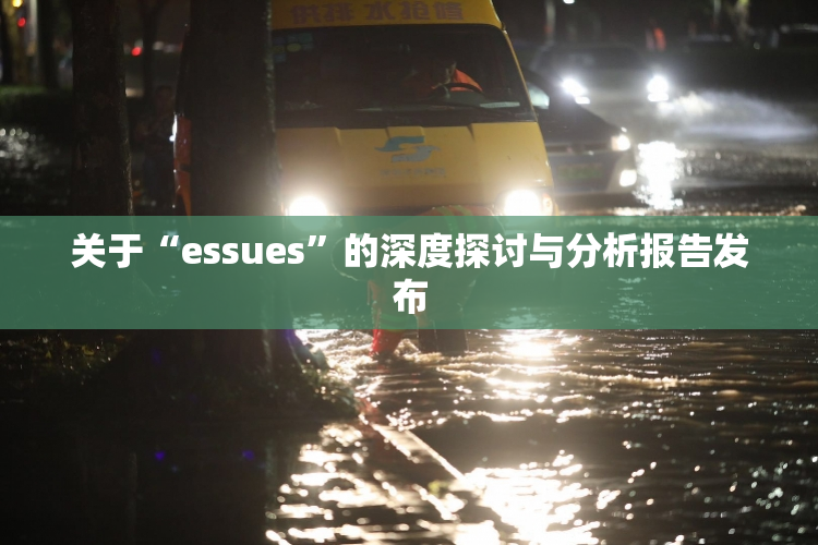 关于“essues”的深度探讨与分析报告发布