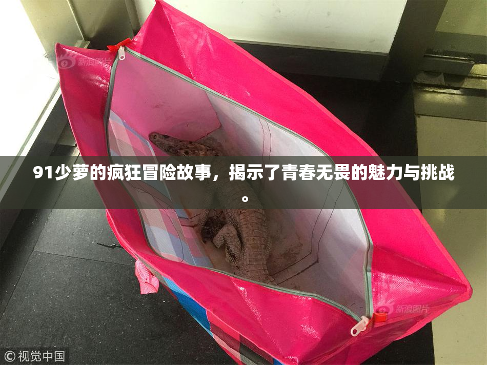 91少萝的疯狂冒险故事，揭示了青春无畏的魅力与挑战。