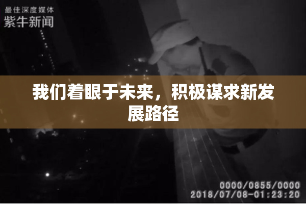 我们着眼于未来，积极谋求新发展路径