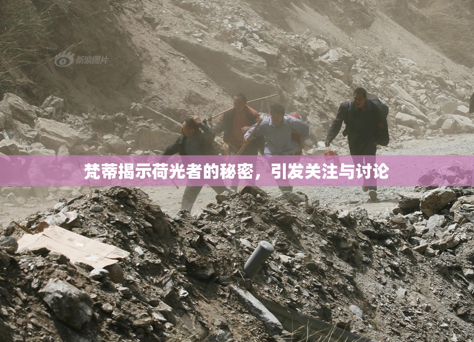梵蒂揭示荷光者的秘密，引发关注与讨论