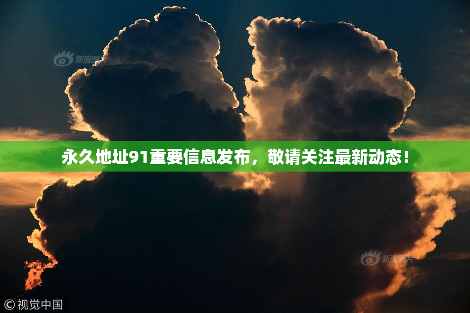 永久地址91重要信息发布，敬请关注最新动态！