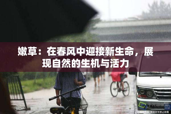 嫩草：在春风中迎接新生命，展现自然的生机与活力
