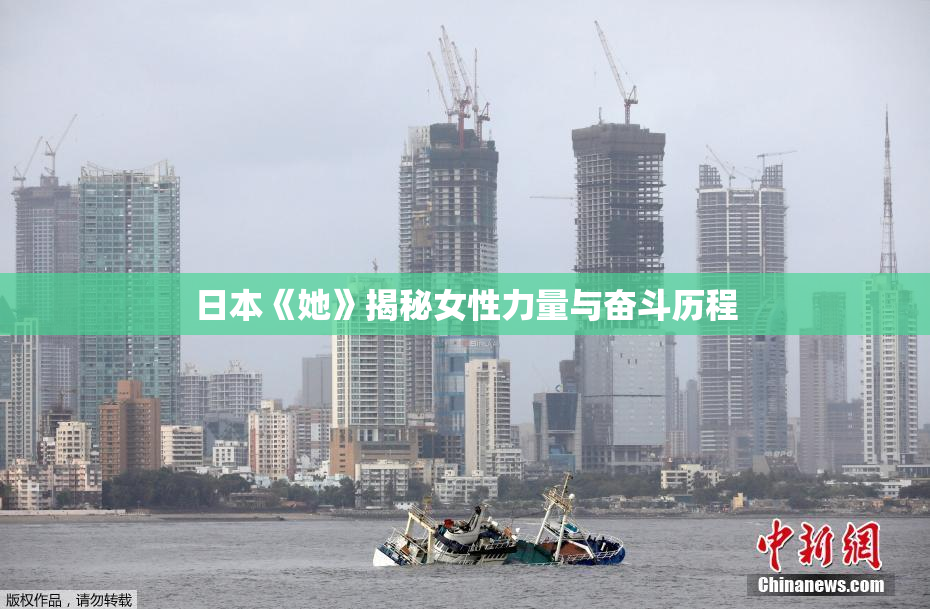 日本《她》揭秘女性力量与奋斗历程