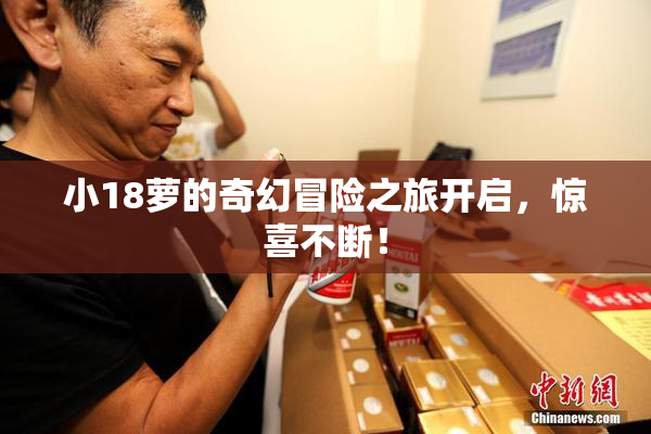 小18萝的奇幻冒险之旅开启，惊喜不断！