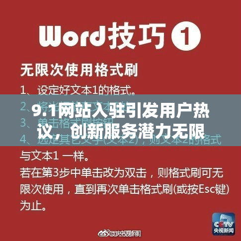 9.1网站入驻引发用户热议，创新服务潜力无限