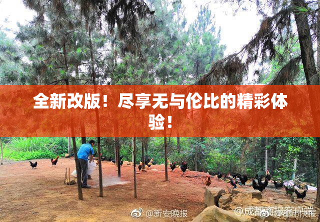 全新改版！尽享无与伦比的精彩体验！