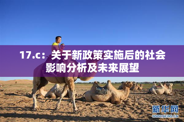 17.c：关于新政策实施后的社会影响分析及未来展望
