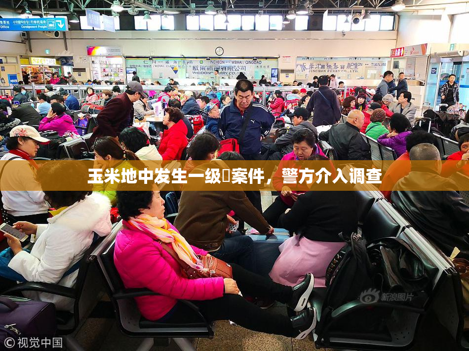 玉米地中发生一级婬案件，警方介入调查