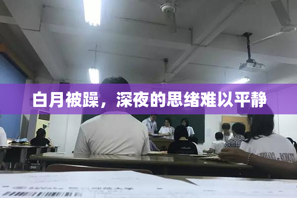 白月被躁，深夜的思绪难以平静