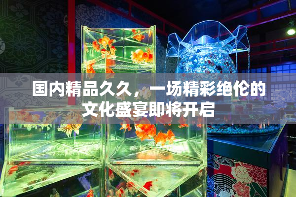 国内精品久久，一场精彩绝伦的文化盛宴即将开启