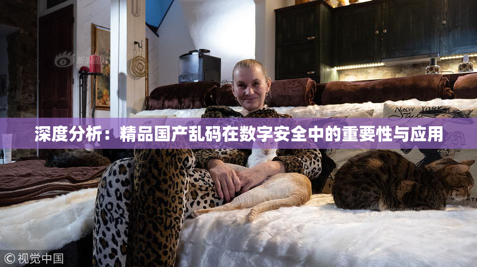 深度分析：精品国产乱码在数字安全中的重要性与应用