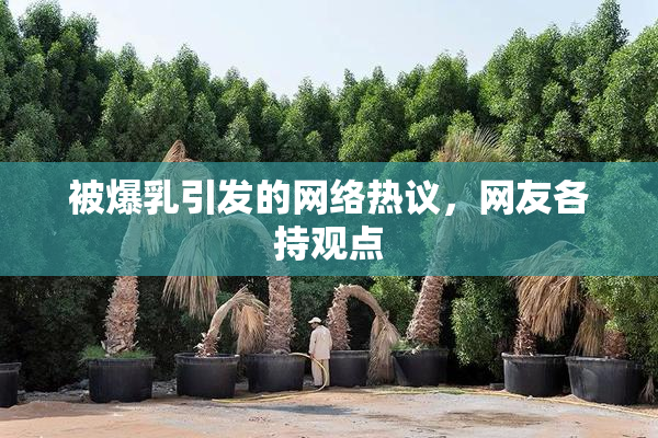 被爆乳引发的网络热议，网友各持观点