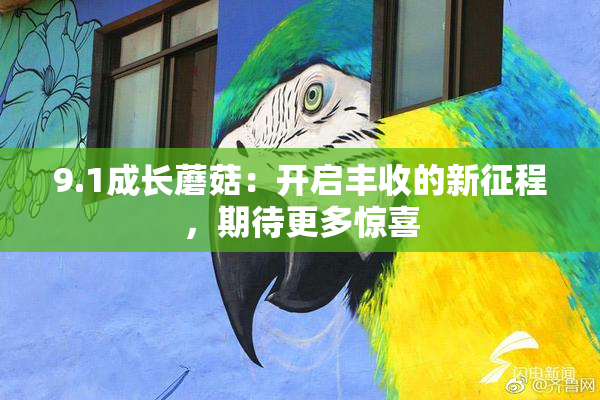 9.1成长蘑菇：开启丰收的新征程，期待更多惊喜