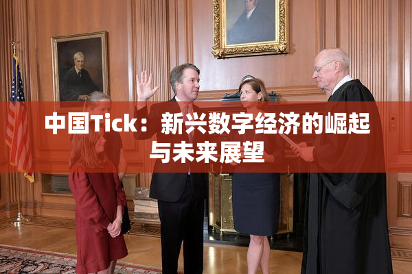 中国Tick：新兴数字经济的崛起与未来展望