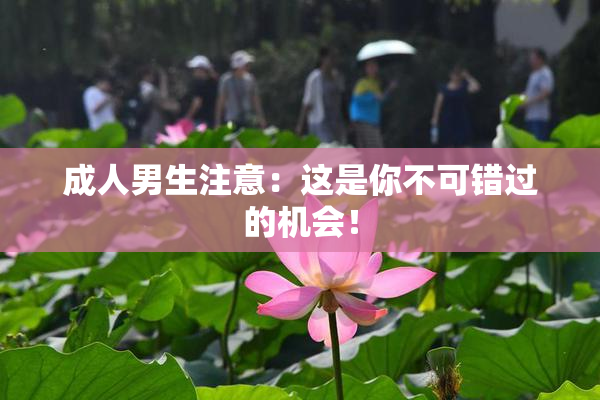 成人男生注意：这是你不可错过的机会！